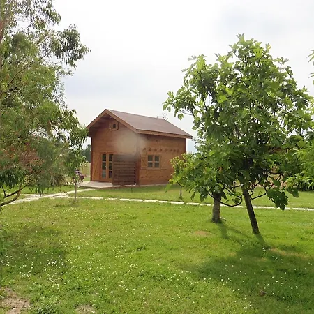 Les Du Manoir * Montauban