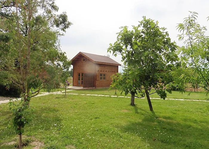 Les Du Manoir * Montauban